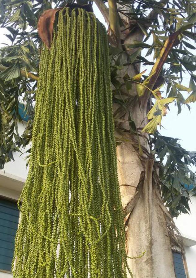 Hôtels Résidences Easy Cotonou Exterior foto